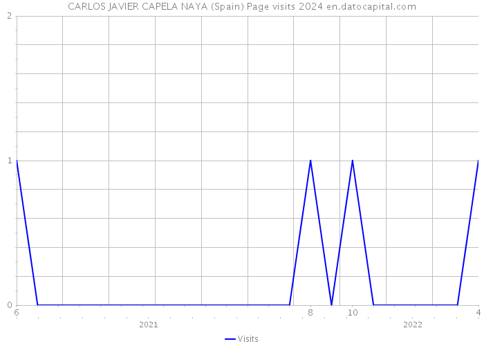 CARLOS JAVIER CAPELA NAYA (Spain) Page visits 2024 
