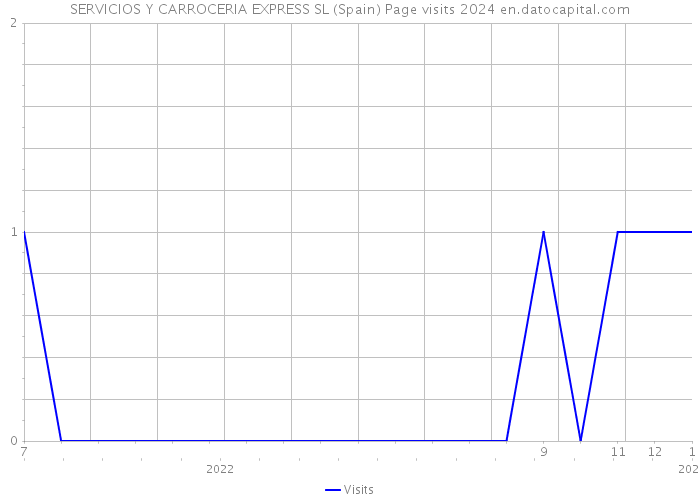 SERVICIOS Y CARROCERIA EXPRESS SL (Spain) Page visits 2024 