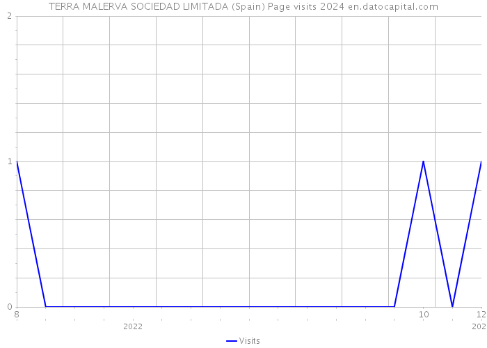 TERRA MALERVA SOCIEDAD LIMITADA (Spain) Page visits 2024 