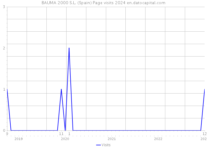 BAUMA 2000 S.L. (Spain) Page visits 2024 