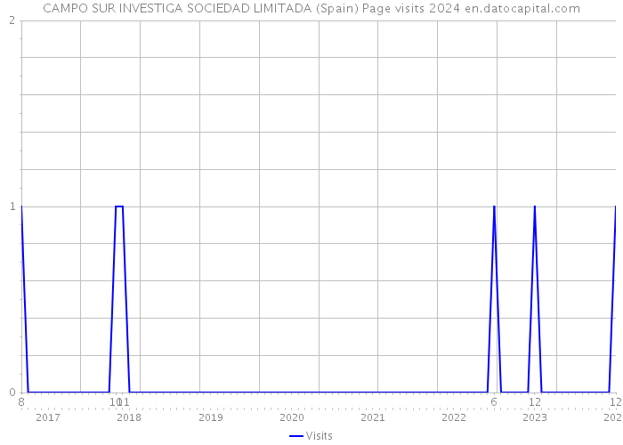 CAMPO SUR INVESTIGA SOCIEDAD LIMITADA (Spain) Page visits 2024 