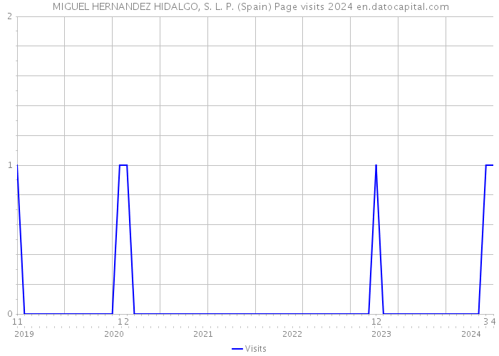  MIGUEL HERNANDEZ HIDALGO, S. L. P. (Spain) Page visits 2024 