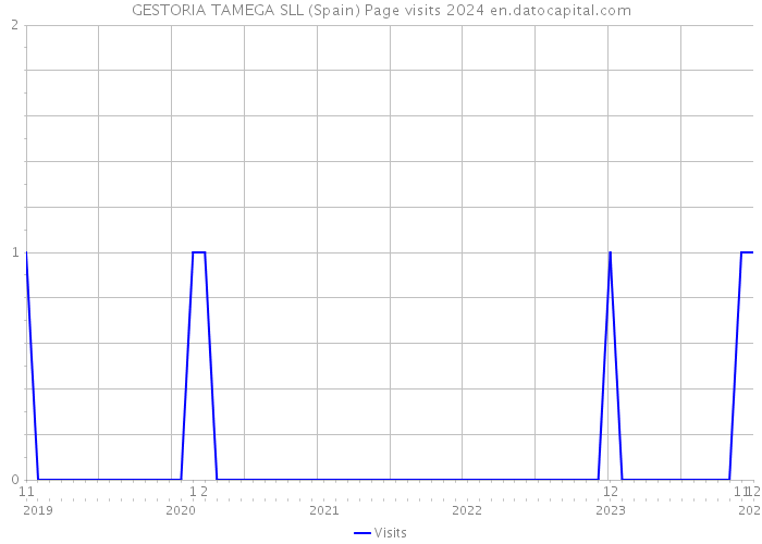 GESTORIA TAMEGA SLL (Spain) Page visits 2024 