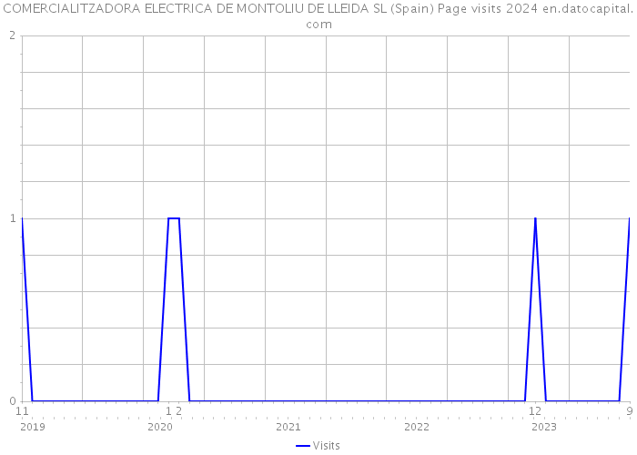 COMERCIALITZADORA ELECTRICA DE MONTOLIU DE LLEIDA SL (Spain) Page visits 2024 