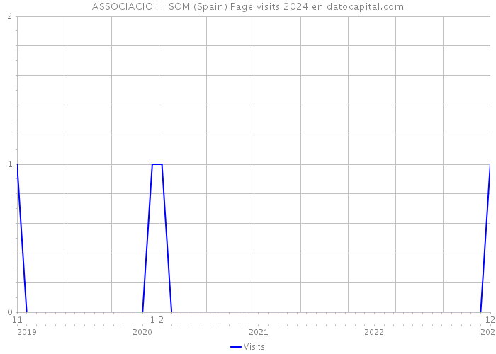 ASSOCIACIO HI SOM (Spain) Page visits 2024 