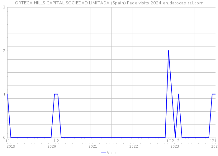 ORTEGA HILLS CAPITAL SOCIEDAD LIMITADA (Spain) Page visits 2024 