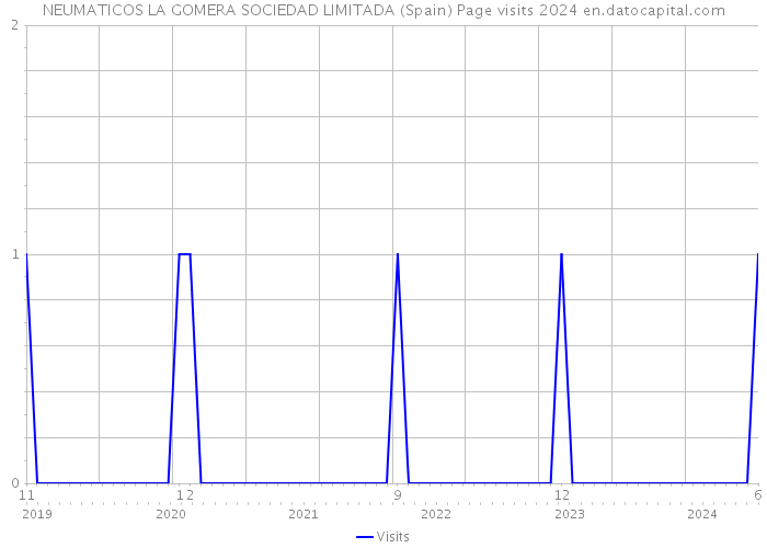 NEUMATICOS LA GOMERA SOCIEDAD LIMITADA (Spain) Page visits 2024 