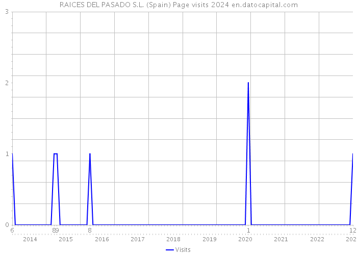 RAICES DEL PASADO S.L. (Spain) Page visits 2024 