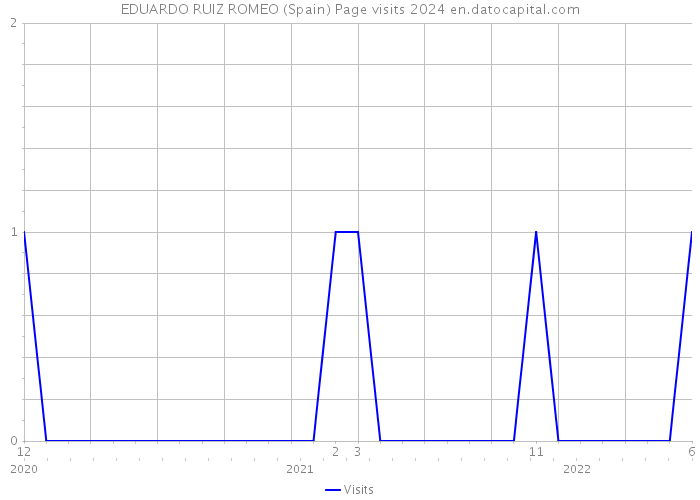 EDUARDO RUIZ ROMEO (Spain) Page visits 2024 
