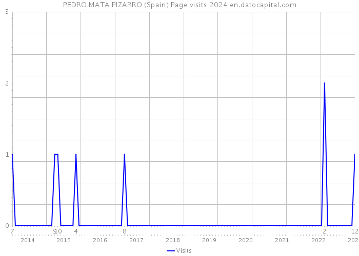 PEDRO MATA PIZARRO (Spain) Page visits 2024 