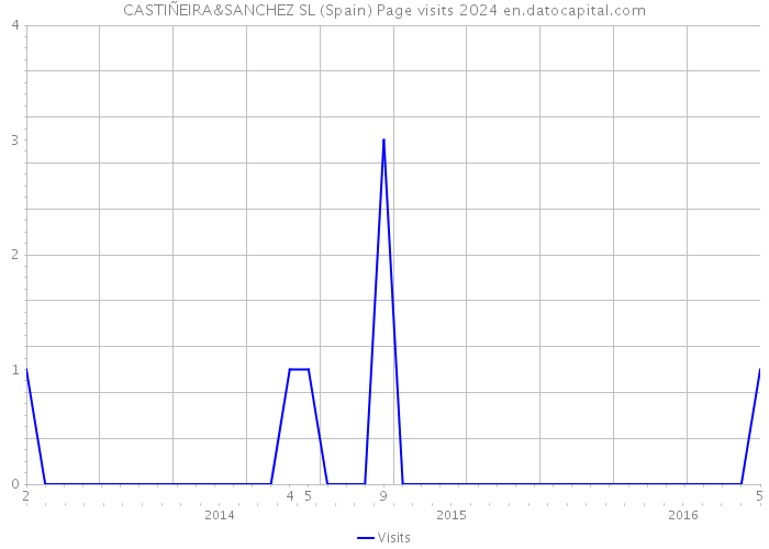 CASTIÑEIRA&SANCHEZ SL (Spain) Page visits 2024 