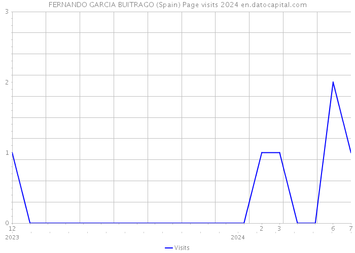 FERNANDO GARCIA BUITRAGO (Spain) Page visits 2024 