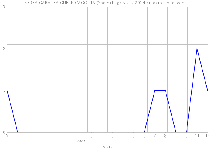 NEREA GARATEA GUERRICAGOITIA (Spain) Page visits 2024 