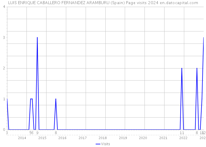 LUIS ENRIQUE CABALLERO FERNANDEZ ARAMBURU (Spain) Page visits 2024 