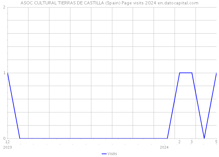 ASOC CULTURAL TIERRAS DE CASTILLA (Spain) Page visits 2024 