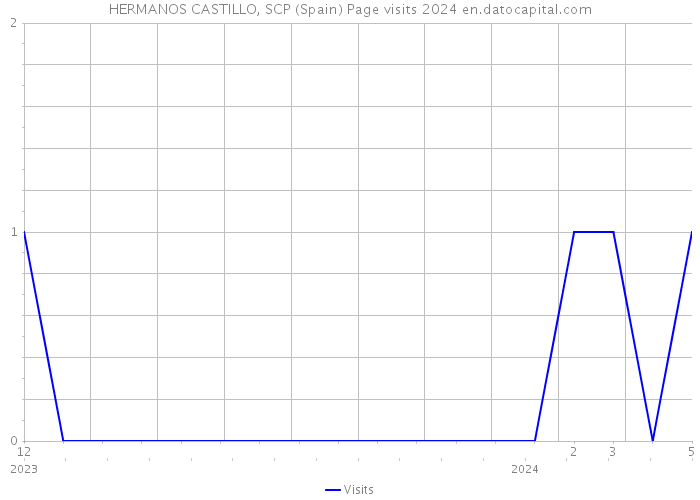 HERMANOS CASTILLO, SCP (Spain) Page visits 2024 