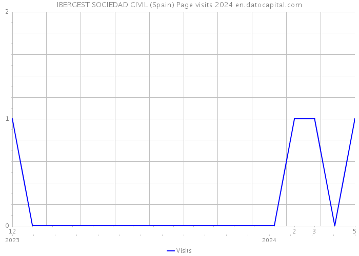 IBERGEST SOCIEDAD CIVIL (Spain) Page visits 2024 