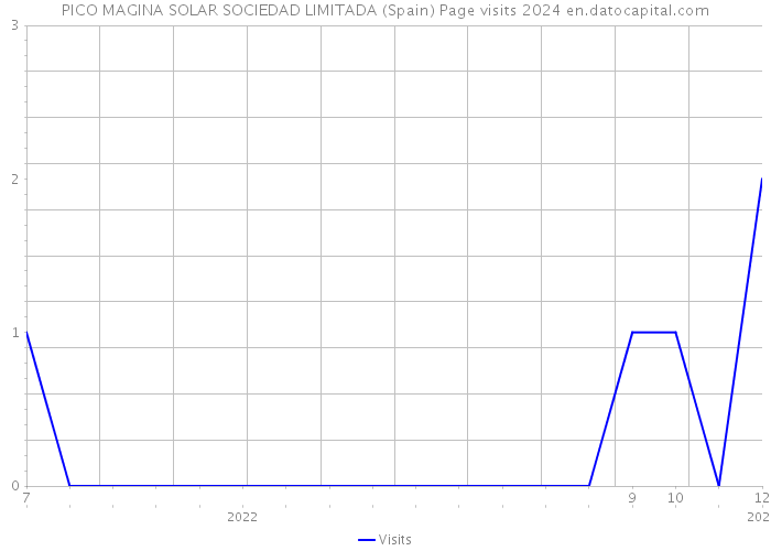 PICO MAGINA SOLAR SOCIEDAD LIMITADA (Spain) Page visits 2024 