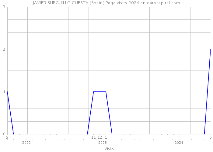 JAVIER BURGUILLO CUESTA (Spain) Page visits 2024 