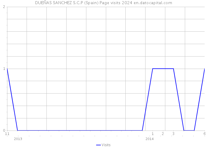 DUEÑAS SANCHEZ S.C.P (Spain) Page visits 2024 