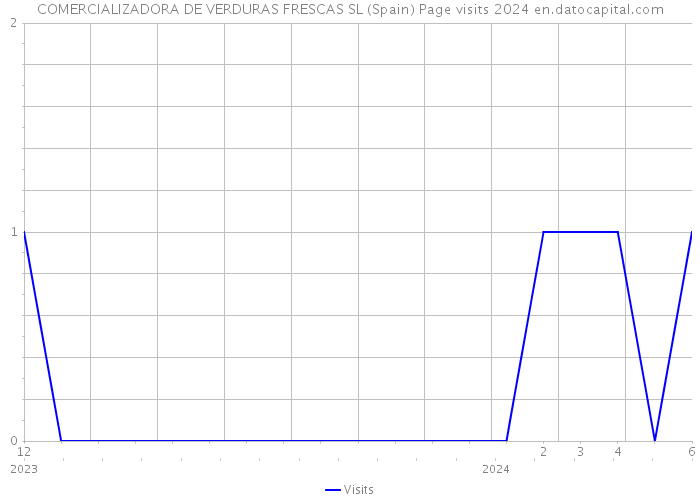 COMERCIALIZADORA DE VERDURAS FRESCAS SL (Spain) Page visits 2024 