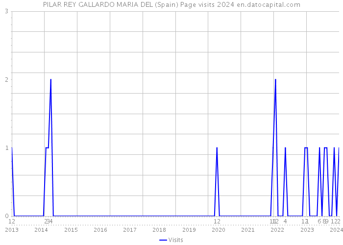 PILAR REY GALLARDO MARIA DEL (Spain) Page visits 2024 
