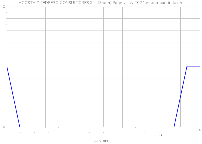 ACOSTA Y PEDRERO CONSULTORES S.L. (Spain) Page visits 2024 