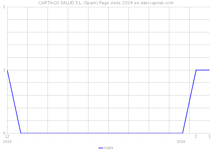 CARTAGO SALUD S.L. (Spain) Page visits 2024 