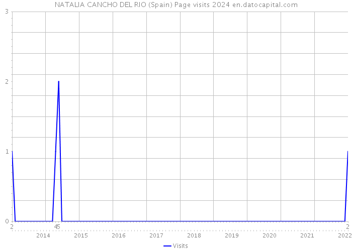 NATALIA CANCHO DEL RIO (Spain) Page visits 2024 