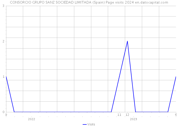 CONSORCIO GRUPO SANZ SOCIEDAD LIMITADA (Spain) Page visits 2024 