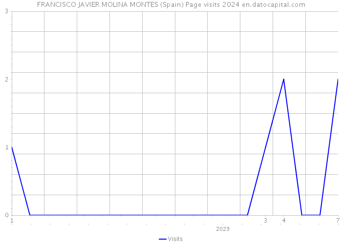 FRANCISCO JAVIER MOLINA MONTES (Spain) Page visits 2024 