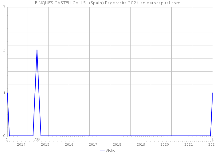 FINQUES CASTELLGALI SL (Spain) Page visits 2024 