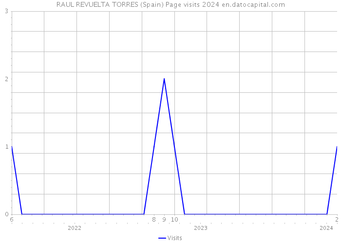 RAUL REVUELTA TORRES (Spain) Page visits 2024 