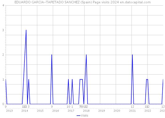 EDUARDO GARCIA-TAPETADO SANCHEZ (Spain) Page visits 2024 