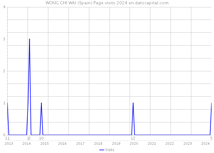 WONG CHI WAI (Spain) Page visits 2024 