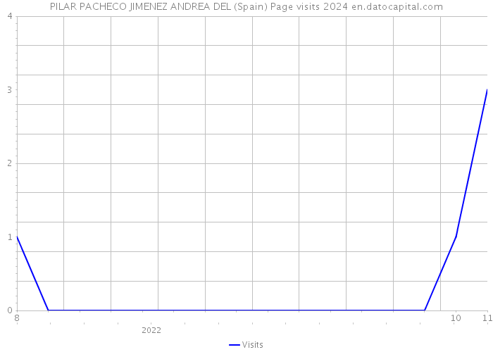 PILAR PACHECO JIMENEZ ANDREA DEL (Spain) Page visits 2024 