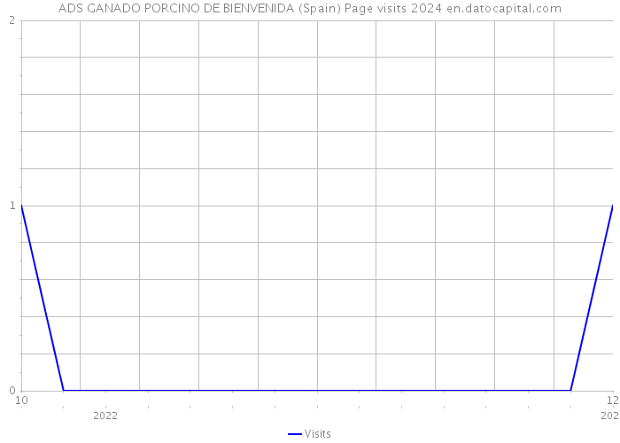 ADS GANADO PORCINO DE BIENVENIDA (Spain) Page visits 2024 