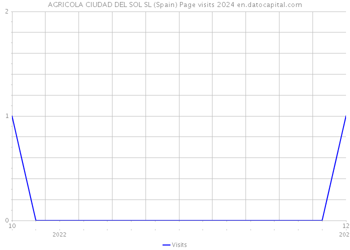 AGRICOLA CIUDAD DEL SOL SL (Spain) Page visits 2024 