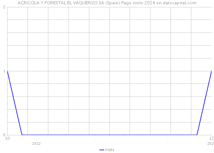 AGRICOLA Y FORESTAL EL VAQUERIZO SA (Spain) Page visits 2024 