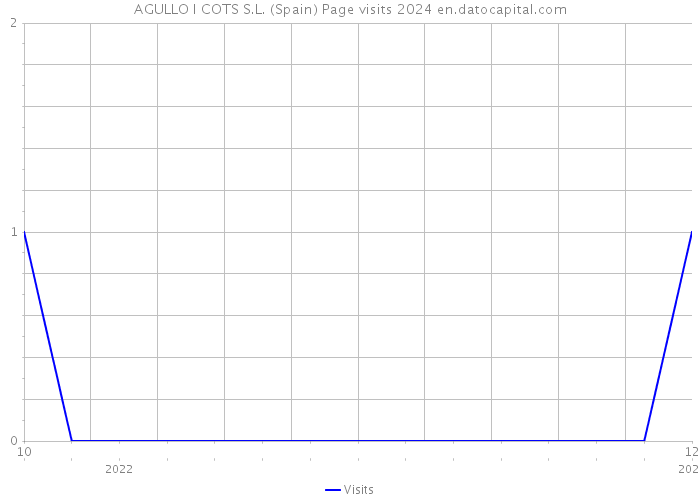 AGULLO I COTS S.L. (Spain) Page visits 2024 