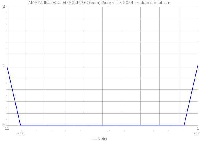 AMAYA IRULEGUI EIZAGUIRRE (Spain) Page visits 2024 