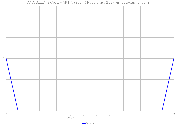 ANA BELEN BRAGE MARTIN (Spain) Page visits 2024 