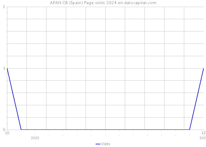 APAN CB (Spain) Page visits 2024 