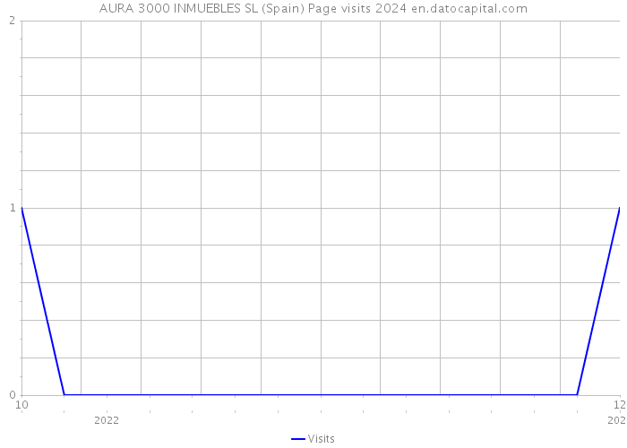 AURA 3000 INMUEBLES SL (Spain) Page visits 2024 