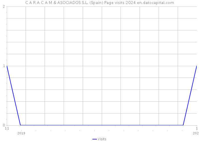 C A R A C A M & ASOCIADOS S.L. (Spain) Page visits 2024 