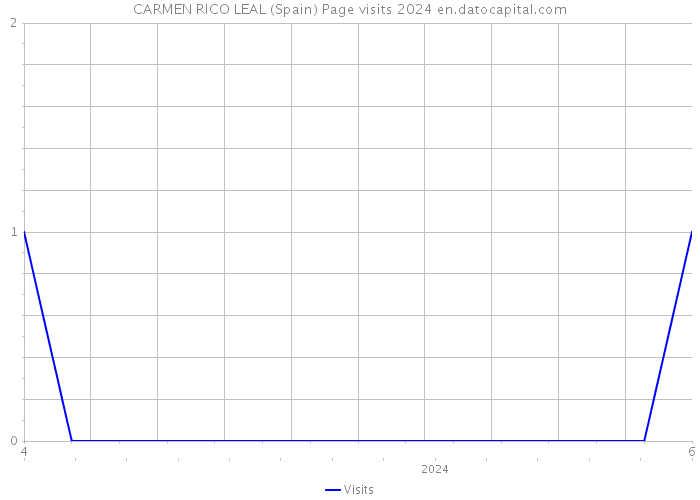 CARMEN RICO LEAL (Spain) Page visits 2024 