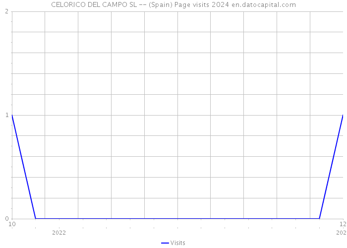 CELORICO DEL CAMPO SL -- (Spain) Page visits 2024 