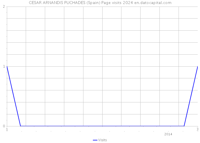 CESAR ARNANDIS PUCHADES (Spain) Page visits 2024 