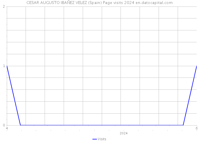 CESAR AUGUSTO IBAÑEZ VELEZ (Spain) Page visits 2024 