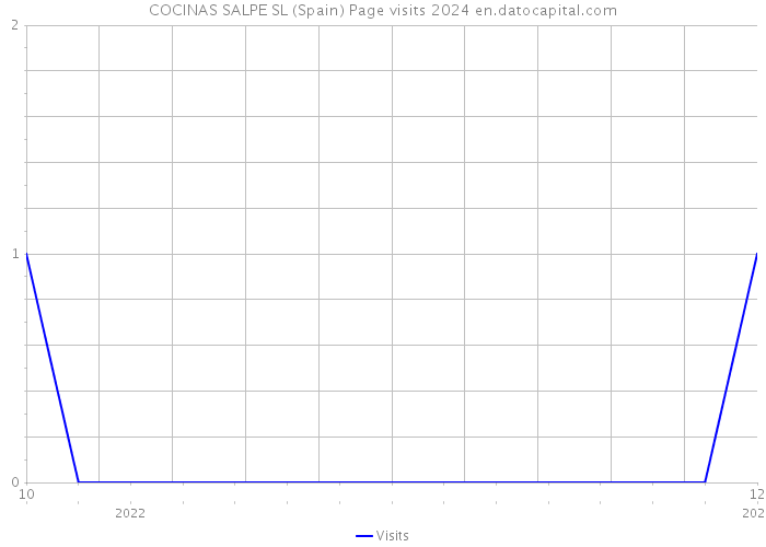COCINAS SALPE SL (Spain) Page visits 2024 